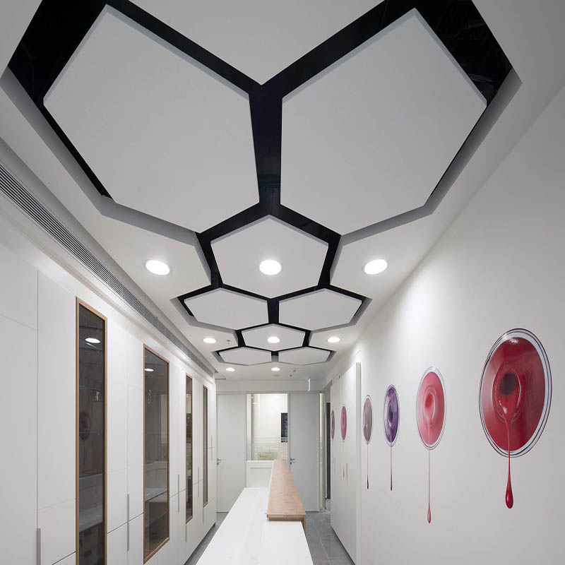 acoustic ceilings תקרות אקוסטיות