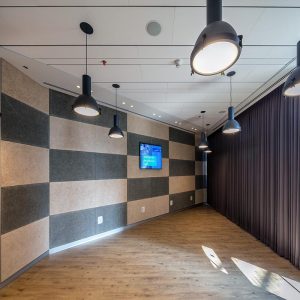 תקרות גבס מיוחדות